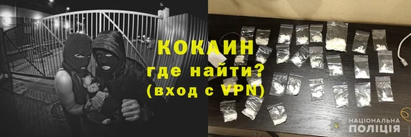 ПСИЛОЦИБИНОВЫЕ ГРИБЫ Вязники